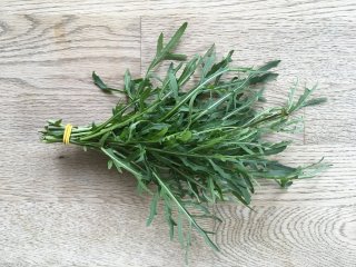 Rucola