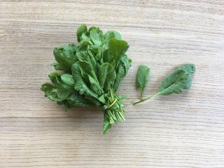 Gartenkresse