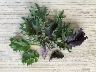 Baby-Kale