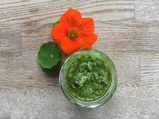 Kresse-Pesto klein (gefroren)