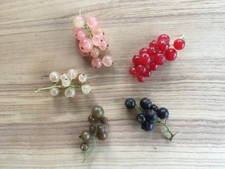 Johannisbeeren bunt gemischt