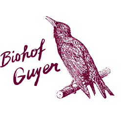 Guyer